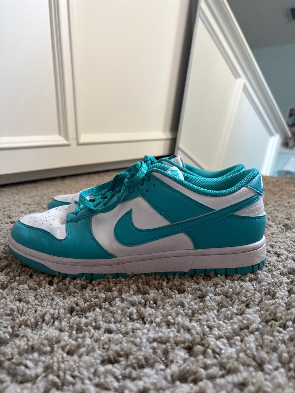 Women’s Nike Dunks Teal
